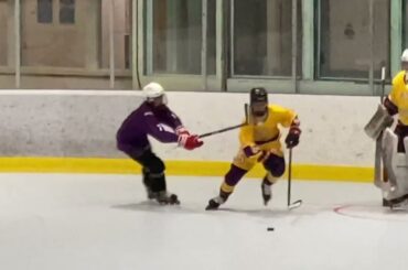 Purple Cobras def Connor Bedard, Kent Johnson and the Great Guys - NSIHLA Div 1 roller hockey