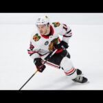 Alex DeBrincat All 18 Goals 2019-20