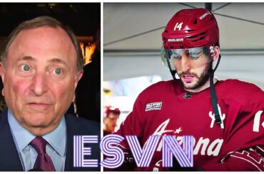 Gary Bettman, Take The HINT About The Arizona Coyotes