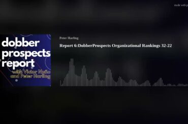 Report 6:DobberProspects Organizational Rankings 32-22