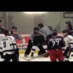 Hockey Fights - Tidman vs Fitzgerald Nov 6