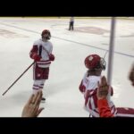 Wisconsin Badgers vs Lindenwood Lions - Cruz Lucius Goal