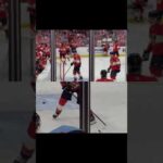 Florida Panthers Fans at Game 4 Eastern Conference Finals