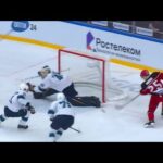 Hellberg denies it with his pad