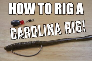 How to Rig a Carolina Rig for Bass Fishing!