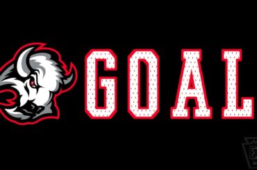 Buffalo Sabres 2023 Goal Horn 90's Night