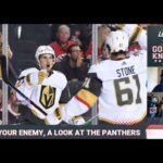 SWAT - A Look at the Florida Panthers Strengths, Weaknesses, Areas of Opportunity, and Threats.