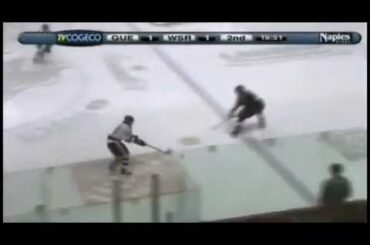 Andrei Pedan Assist 1 of 3  (Brock McGinn Goal) Guelph Storm @ Windsor Spitfires 02-03-13