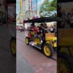 Ryan Strome Having Fun During Disneyland Parade