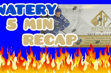 2018-19 (18/19) UD SP Authentic Hockey Hobby Box Break | 5 MIN RECAP! (2020)