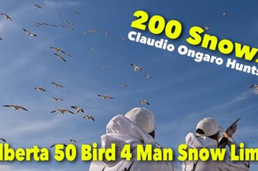 200 Snow Geese 4 Man Limit | Snow Goose Hunt @Cabela-s @divebombsquad @BenelliArmiSpA @hevishotammo