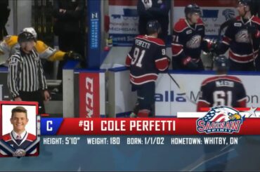 Cole Perfetti First OHL playoff goal