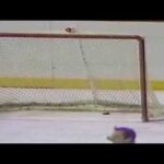 Philadelphia Flyers' goaltender Ron Hextall becomes 1st NHL goaltender to score a goal