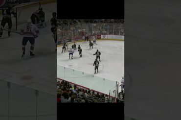 GOAL  Lukas Rousek Hershey Bears v Rochester Americans 1-4  AHL  2022 23#shorts