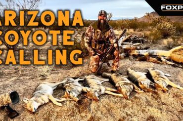 Arizona Coyote Hunting With Big Al & Tom Austin