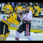 TOP 10 COMBATS/FIGHTS - LNAH 2019-2020