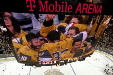 Vegas Golden Knights Stanley Cup Celebration | Drone | All-Access