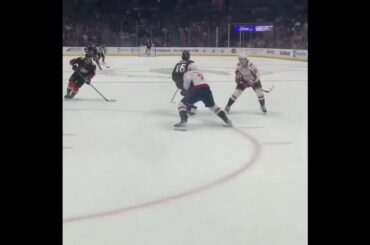 Trevor Zegras Overtime Goal vs Washington Capitals