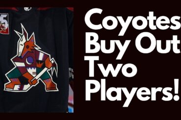 Arizona Coyotes BUY OUT Zack Kassian and Patrik Nemeth! NHL News