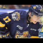 Interview with OHL Player Daniel D'Amato