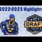 2023 NHL Draft : Noah Dower Nilsson - 22-23 Highlights (U18)