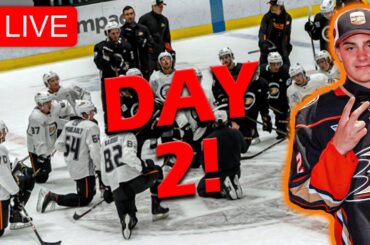 Anaheim Ducks 2023 Rookie Camp - Day 2 (Leo Carlsson, Zellweger, Mintyukov & more LIVE!) Part 2