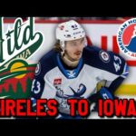 Minnesota Wild Sign Greg Meireles to AHL Contract!! Jets Fan Reaction!!