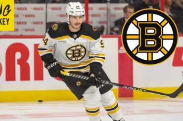 Boston Bruins Sign Jakub Lauko