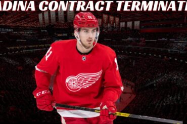 Breaking News: Red Wings Filip Zadina Contract TERMINATED