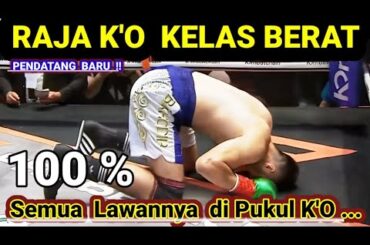 KELAS BERAT 🥊🥊RAJA K'O, PENDATANG BARU