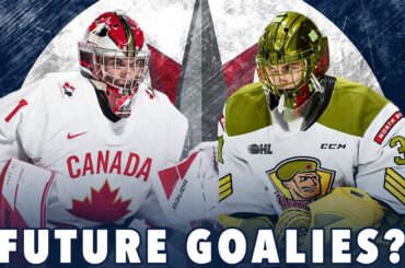 Are Dominic DeVincentis & Thomas Milic the Jets Future Tandem in Goal?