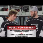 Would You Rather: Go Through Spider Webs or Take a Slapshot to the Shin?