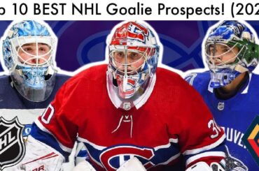 Top 10 BEST NHL Goalie Prospects! (Hockey Draft Prospect & Primeau/DiPietro/Luukkonen Talk 2020)