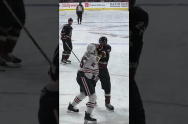 Jared Tinordi vs Jack McBain Fight💥👊 (Arizona Coyotes vs Chicago Blackhawks)