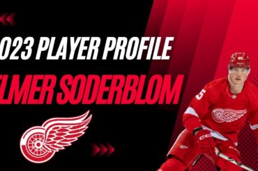 Elmer Soderblom Player Profile