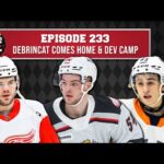 Episode 233 - Alex DeBrincat Comes Home & Red Wings Development Camp Impressions