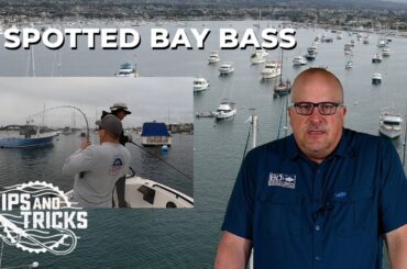 Breaking Down Bays and Harbors - SoCal Bight FISHING ACADEMY Ep. 2