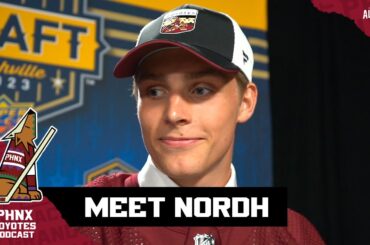 Meet Arizona Coyotes 2023 3rd-round pick Noel Nordh