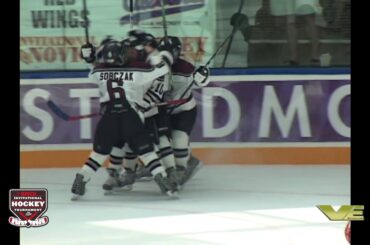 Brick Tournament Hockey Videos -  Casey Mittelstadt - Team Minnesota 2008