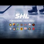 The Swedish Hockey League