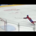 Unbelievable Hockey Saves