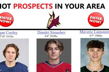 Arizona Coyotes Top 10 Prospects 2023