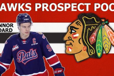 CHICAGO BLACKHAWKS Prospect Pool | Top 10 Prospects Ranking