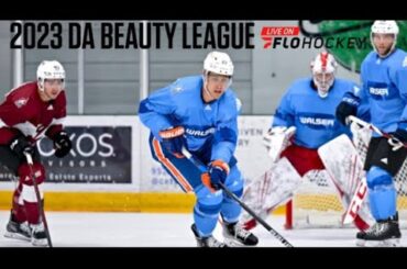 Da Beauty League Goals Of The Week: Vinnie Lettieri Hat Trick, Erik Haula Backhand Bar Down And More