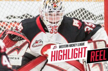 2018-19 HIGHLIGHT REEL | Taylor Gauthier