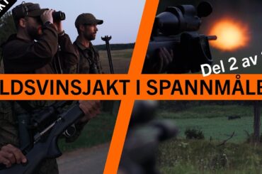 Vildsvinsjakt i spannmålen! (2023) Del 2 av 2 | BRA JAKT