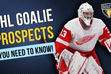 Four NHL Goaltending Prospects You Need to Know | Puck Poolies