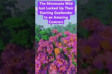 The Minnesota Wild Might Have Just Signed Filip Gustavsson to One of the Best Contracts in the NHL!