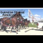 Iowa Harness Horseman's Association -  From Oskaloosa