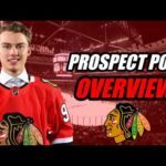 Prospect Pool Overview: Chicago Blackhawks